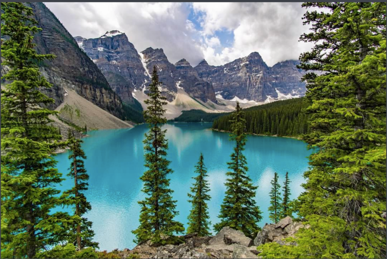 A picture from which I created a jigsaw puzzle.