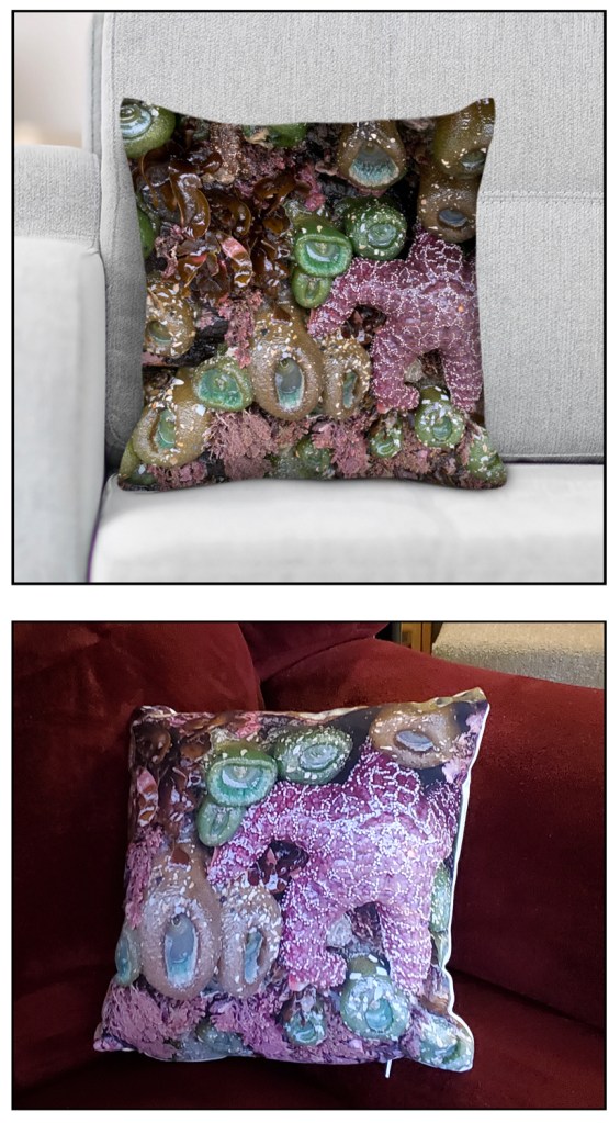 Two images show the preview of the tidepool pillow and the result after I received the actual tidepool pillow.